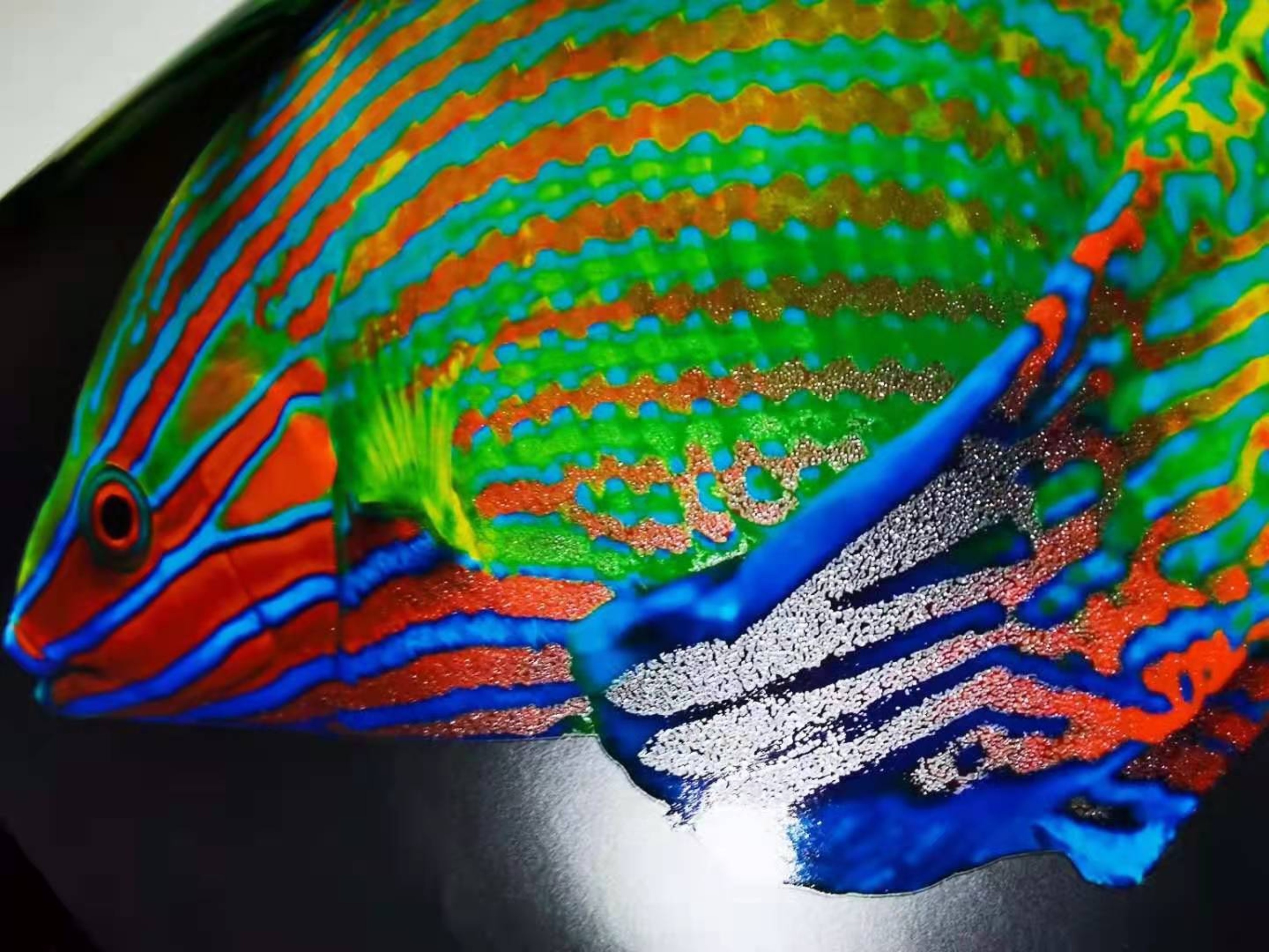 包裝定制廠家報價差距較大 包裝定制廠家報價差距較大